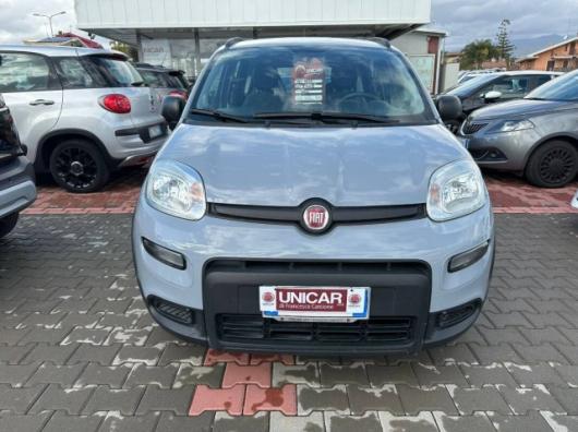 usato FIAT Panda