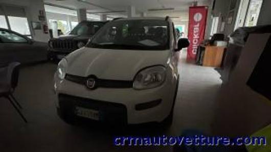 usato FIAT Panda