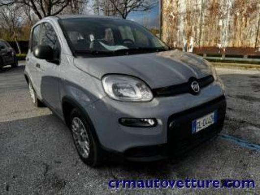 usato FIAT Panda