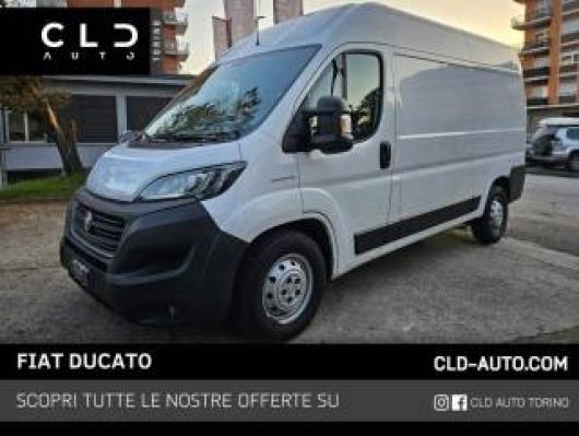 usato FIAT Ducato