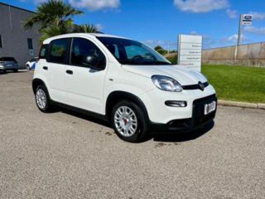 usato FIAT Panda