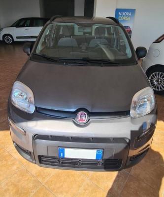 usato FIAT Panda