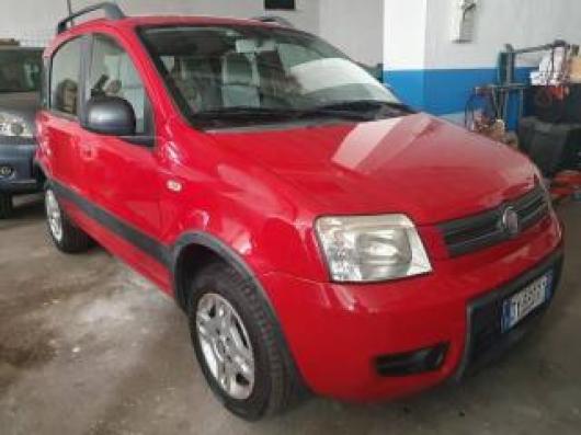 usato FIAT Panda