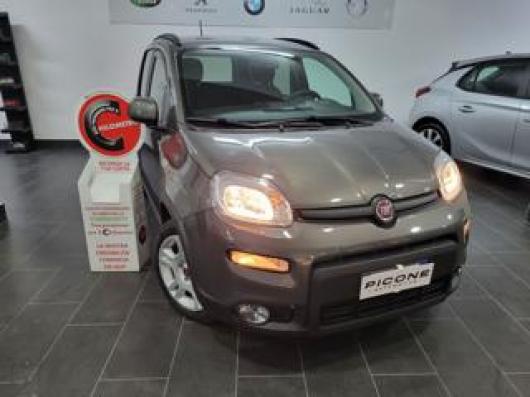 usato FIAT Panda