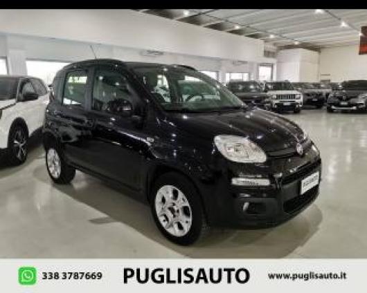 usato FIAT Panda