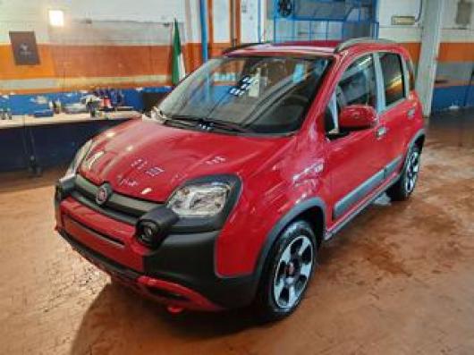 usato FIAT Panda Cross