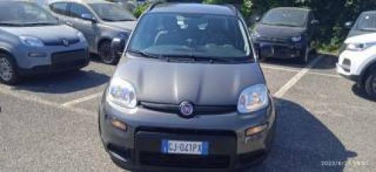 usato FIAT Panda