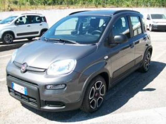 usato FIAT Panda