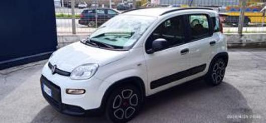 usato FIAT Panda