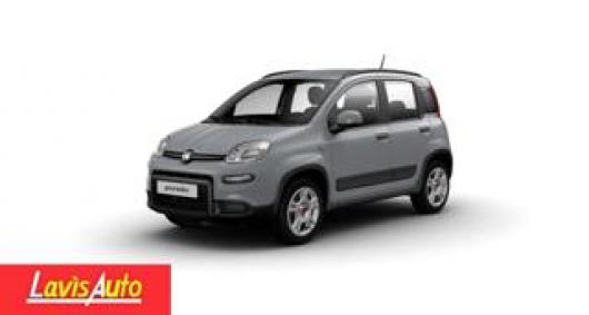 usato FIAT Panda