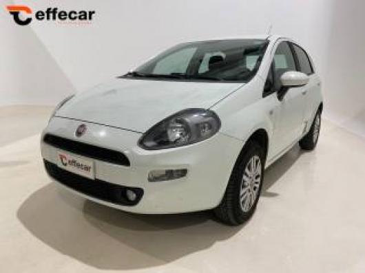 usato FIAT Punto