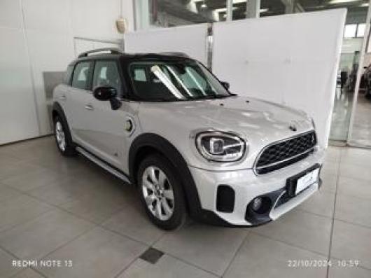 usato MINI Countryman