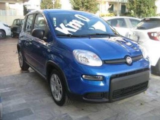 usato FIAT New Panda