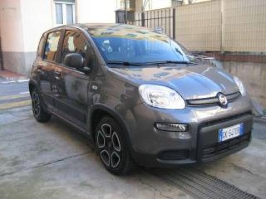 usato FIAT New Panda