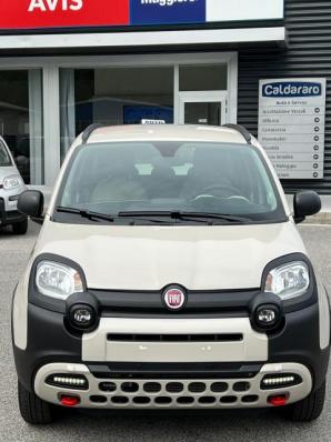 usato FIAT Panda