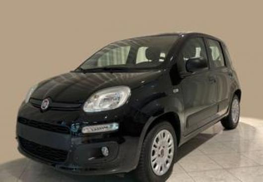 usato FIAT Panda