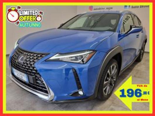 usato LEXUS UX 250h