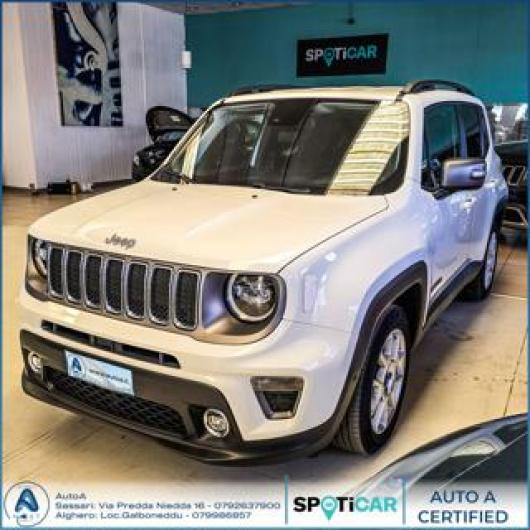 usato JEEP Renegade