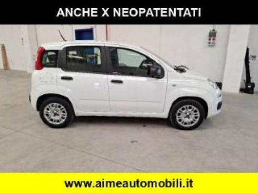 usato FIAT Panda