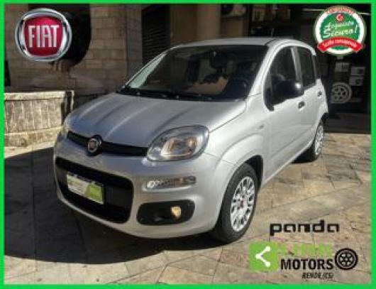 usato FIAT Panda