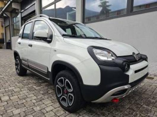 usato FIAT Panda