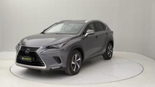 usato LEXUS NX 300h