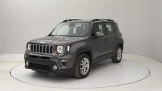 usato JEEP Renegade