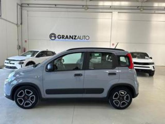 usato FIAT Panda