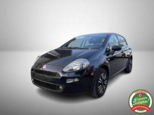 usato FIAT Punto