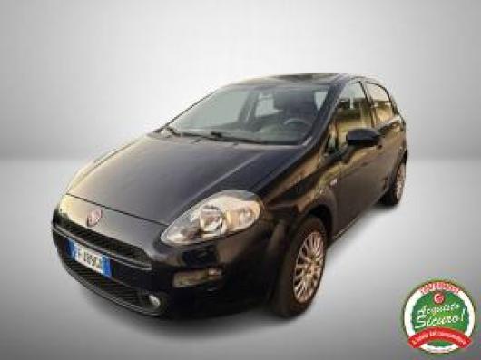 usato FIAT Punto