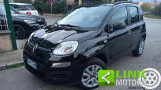 usato FIAT Panda