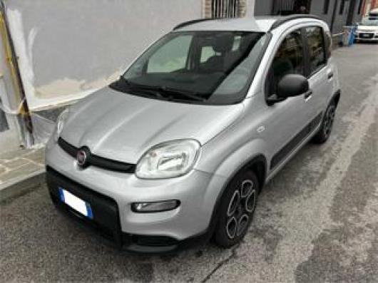 usato FIAT Panda