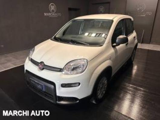 usato FIAT Panda