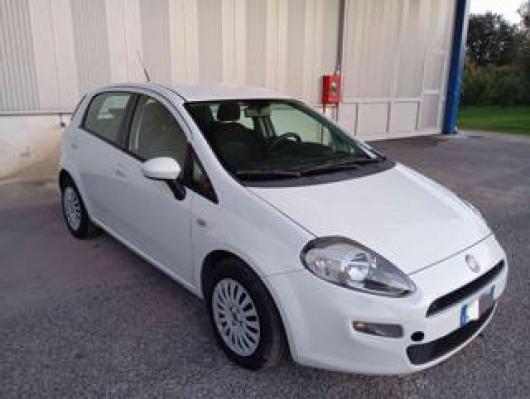 usato FIAT Punto