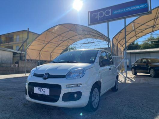 usato FIAT Panda