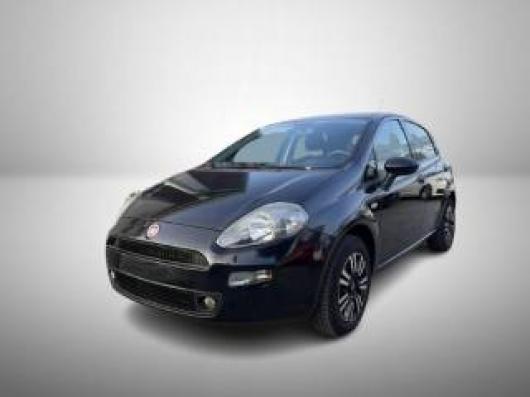 usato FIAT Punto