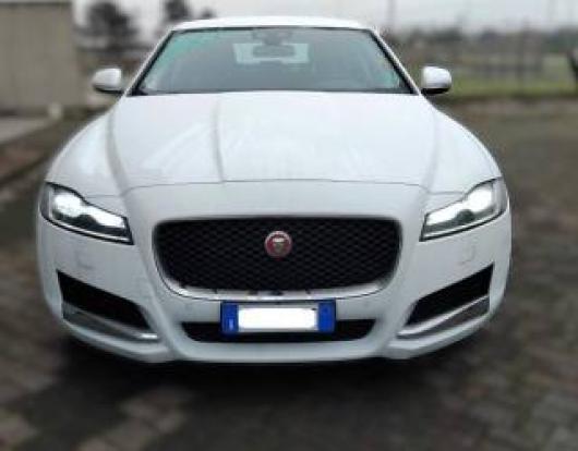 usato JAGUAR XF