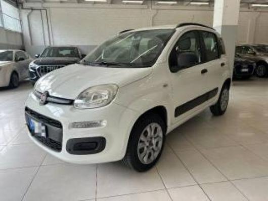 usato FIAT Panda