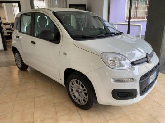 usato FIAT Panda