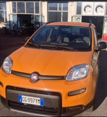 usato FIAT Panda