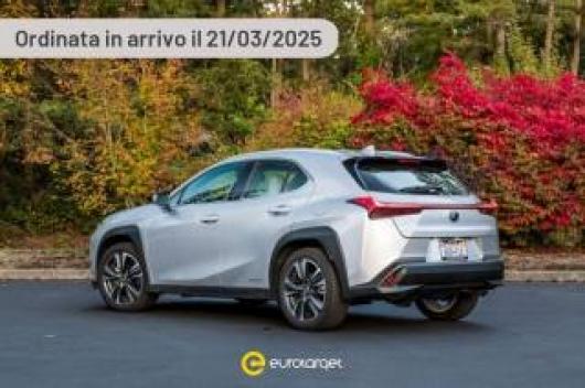 nuovo LEXUS UX Full Electric