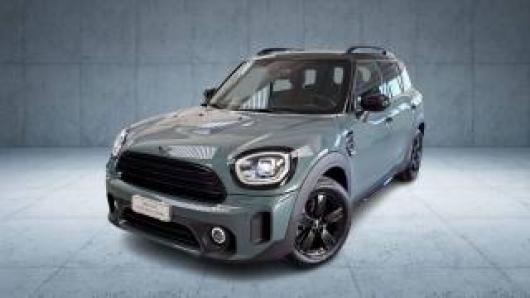 usato MINI Countryman