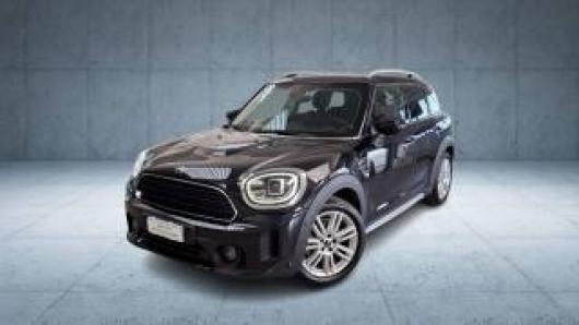 usato MINI Countryman