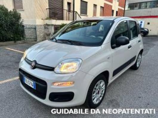 usato FIAT Panda