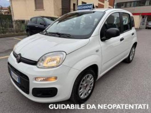 usato FIAT Panda