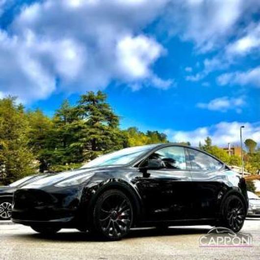 usato TESLA Model Y