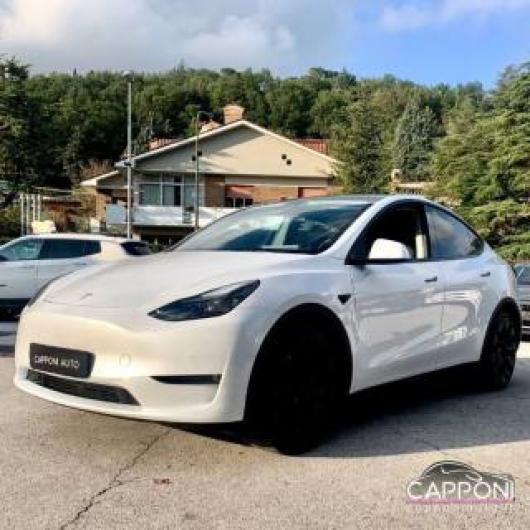 usato TESLA Model Y