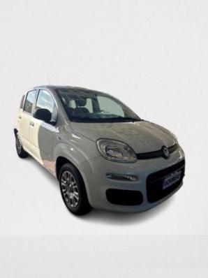 usato FIAT Panda