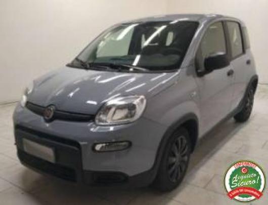 usato FIAT Panda