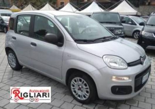 usato FIAT Panda